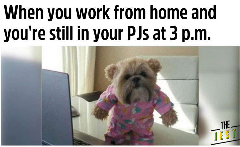 The Funniest Work-from-Home Memes to Get You Through Quarantine - The Jest
